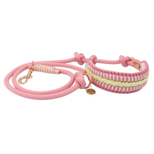 Tau x Paracord Retrieverleine