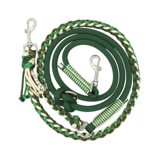 Tau x Paracord Leine