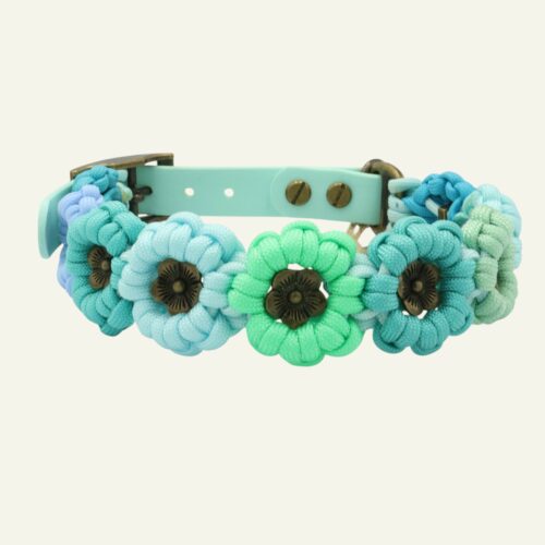 Cherry Blossom (HU: 33-39cm)